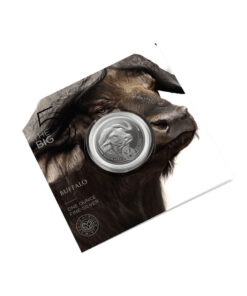 1 oz Silver BIG Five Series Buffalo Coin
