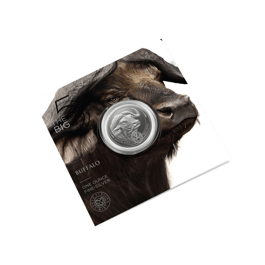 1 oz Silver BIG Five Series Buffalo Coin